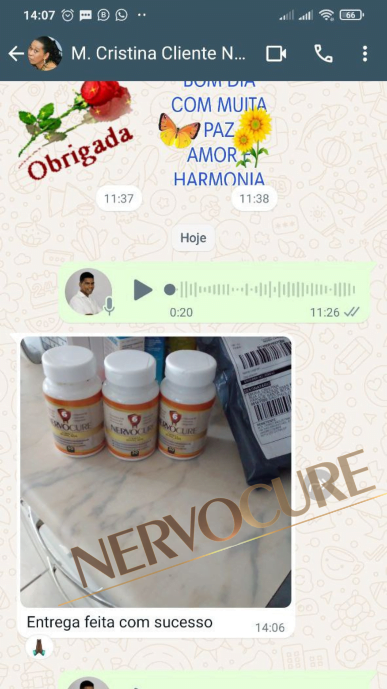 Design sem nome (60)